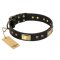 "Black Sun" FDT Artisan Leather Mastiff Collar with Brass Plated Decorations