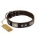 "Satin Beauts" FDT Artisan Brown Leather Mastiff Collar with Stars and Plates