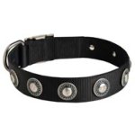 Mastiff Nylon Dog Collar with Circles Decoration