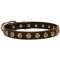 Leather Mastiff Collar with Brass Dotted Circles for Fashion Walking