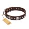 "Perfect Impression" FDT Artisan Brown Leather Mastiff Collar with Silvery Square Studs