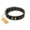 "De Luxe" FDT Artisan Black Leather Mastiff Collar with Old Bronze-like Plates and Studs