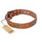 "Stunning Dress" FDT Artisan Tan Leather Mastiff Collar with Old Bronze Look Plates and Studs