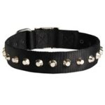 Exclusive Nylon Mastiff Collar with Awesome Nickel Cones