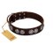 "High and Mighty" FDT Artisan Classy Brown Leather Mastiff Collar with Embellished Brooches