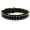 Mastiff Nylon Collar Spiked