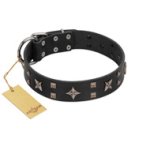 "Star Excitement" Modern FDT Artisan Black Leather Mastiff Collar with Studs and Stars