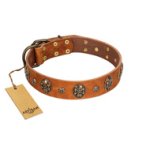 "Rockstar" FDT Artisan Tan Leather Mastiff Collar with Engraved Studs and Medallions