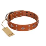 "Tawny Beauty" FDT Artisan Tan Leather Mastiff Collar Adorned with Stars and Tiny Squares