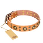 "Sophisticated Glamor" FDT Artisan Leather Mastiff Collar with Fancy Old Bronze-like Plated Decorations