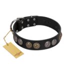 "Mister Exclusive" Designer FDT Artisan Black Leather Mastiff Collar with Medallions
