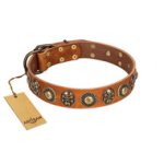 "Golden Epoch" FDT Artisan Tan Leather Mastiff Collar with Old Bronze-plated Medallions and Conchos