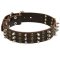 Mastiff Spikes and Studs Rows Leather Dog Collar