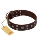 "Brown Shadow" Designer Handmade FDT Artisan Brown Leather Mastiff Collar