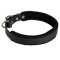 Padded Leather Mastiff Collar 25 mm for Dog Training