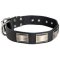 Leather Mastiff Collar Massive Nickel Plates