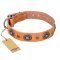 "Twinkle Twinkle" FDT Artisan Incredible Studded Tan Leather Mastiff Collar