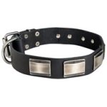 Leather Mastiff Collar Massive Nickel Plates