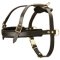 Leather Mastiff Harness for Tracking and Pulling
