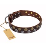 "Strong Shields" FDT Artisan leather Mastiff collar with stylish decorations