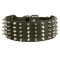 Mastiff Leather Collar Spiked and Studded