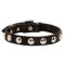 Beautiful Leather Mastiff Collar Decorated with Half-Ball Studs