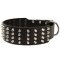 Extra Wide 4 Rows Studded Leather Mastiff Collar