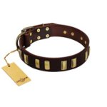 "Peace and Harmony" FDT Artisan Brown Leather Mastiff Collar with Plates