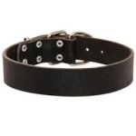 Wide Leather Mastiff Collar for Training and Walking