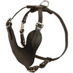 Adjustable Leather Mastiff Harness for Attack / Agitation Training