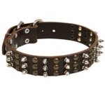 Mastiff Spikes and Studs Rows Leather Dog Collar