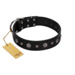 "Mr. Elegance" Designer FDT Artisan Black Leather Mastiff Collar with Silver-Like Studs