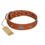 "Marine Antiques" Handmade FDT Artisan Tan Leather Mastiff Collar with Blue Stones