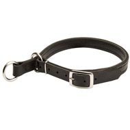 Mastiff Leather Choke Collar