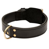 Training 2 Ply Leather Mastiff Collar