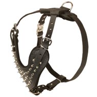 Spiked Leather Mastiff Harness for Fashionable Walking