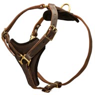 Tracking Leather Mastiff Harness With Y-Chest Plate