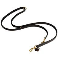 Nylon Mastiff Leash for Patrolling, Walking and Training