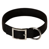 2 Ply Nylon Mastiff Collar