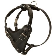 Protection Leather Mastiff Harness for Attack / Agitation Dog Training