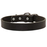 Mastiff Leather Dog Collar For Pleasant Wearing