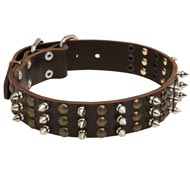 Mastiff Spikes and Studs Rows Leather Dog Collar