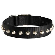 Exclusive Nylon Mastiff Collar with Awesome Nickel Cones