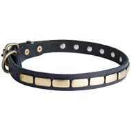 Mastiff Leather Collar Brass Plates 25 mm