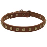 Handcrafted 1 Row Square Studded Leather Mastiff Collar