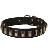 Mastiff Leather Collar with Shiny Plates