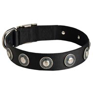 Mastiff Nylon Dog Collar with Circles Decoration