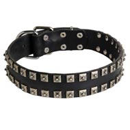 New Leather Mastiff Collar - Fashion Exclusive Design - "Caterpillar"