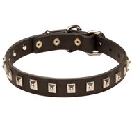 Mastiff Leather Collar Caterpillar Design