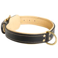 Padded Leather Mastiff Collar